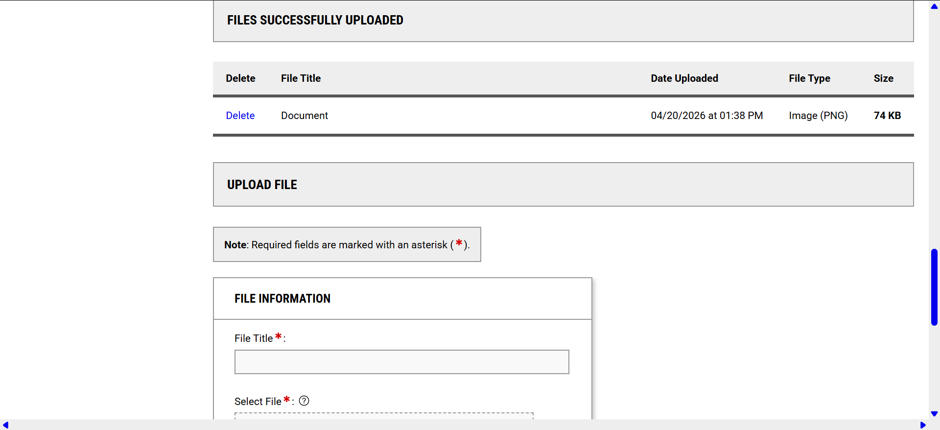 Screenshot of the application with the file successfully uploaded